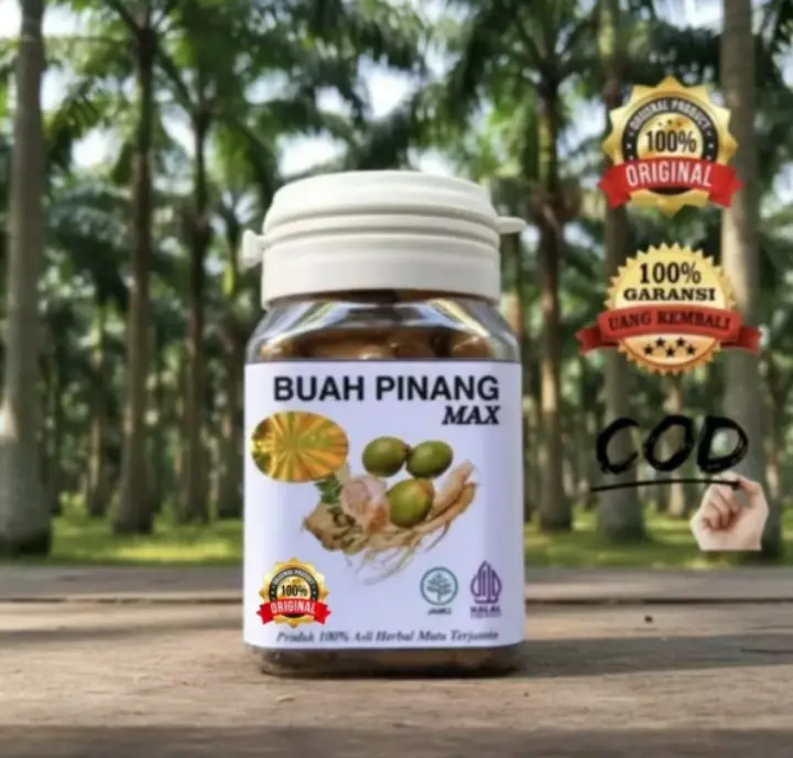 Kapsul buah pinang max thumbnail 1
